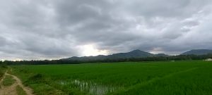 gunung merapi purba ijo